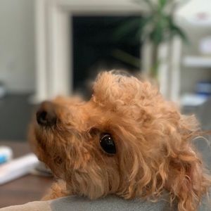 Meet your Posher, Eddie